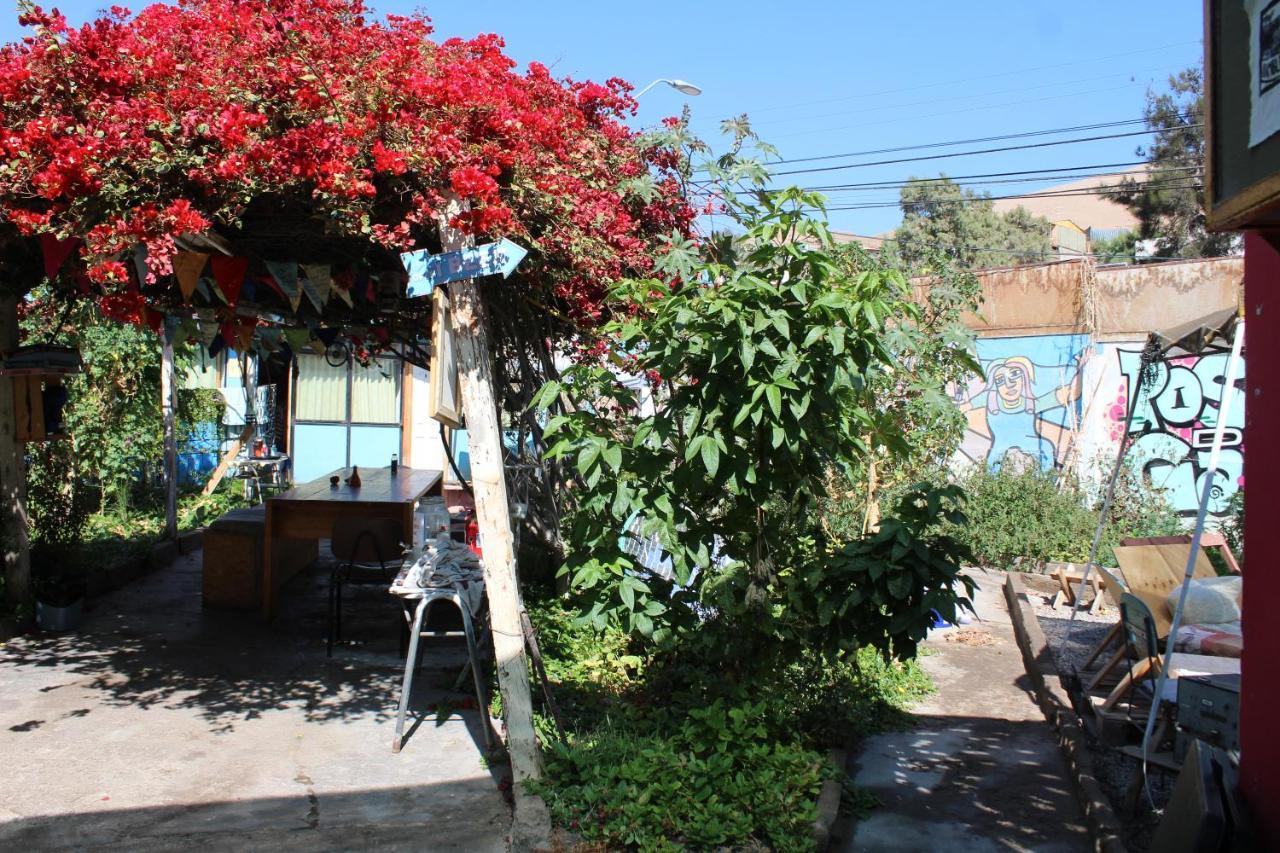 Hostel La Posada Gallo Arica Exterior foto